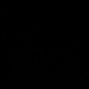 Meet your Posher, King